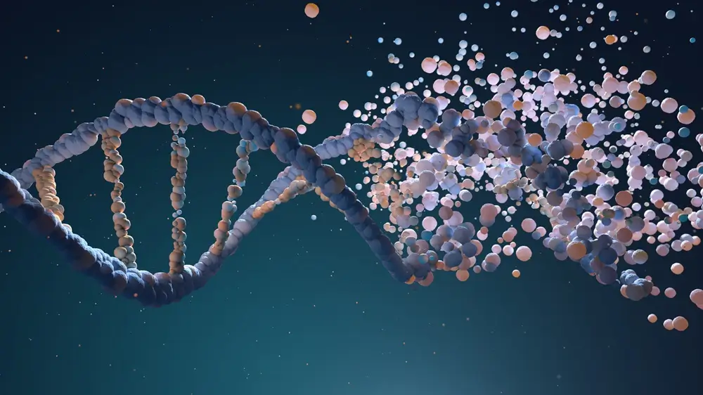 Montagem de fitas de DNA a partir de diferentes elementos Gene